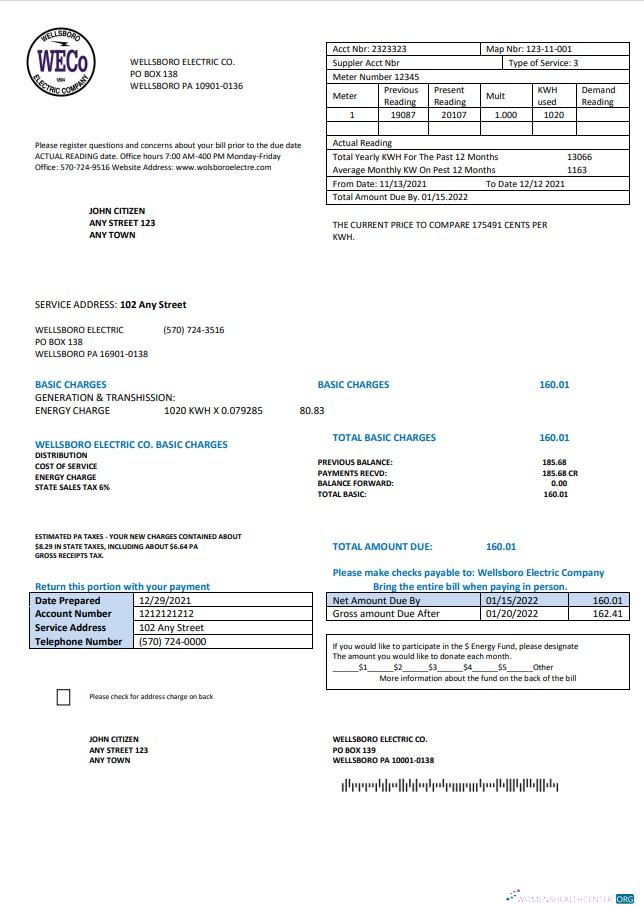 download USA Pennsylvania Wellsboro Electric utility bill template in Word and PDF format PDF template